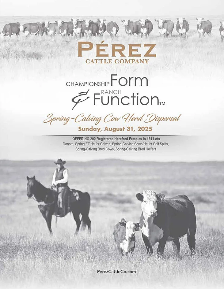 Perez Cattle Company poster image