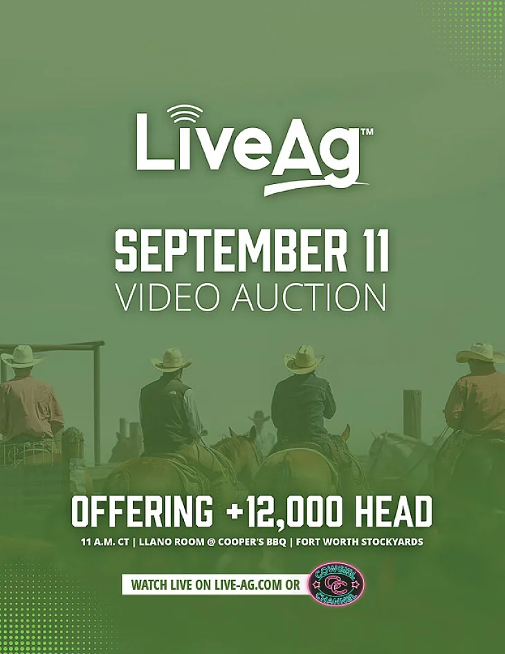 LiveAg Commercial Cattle poster image