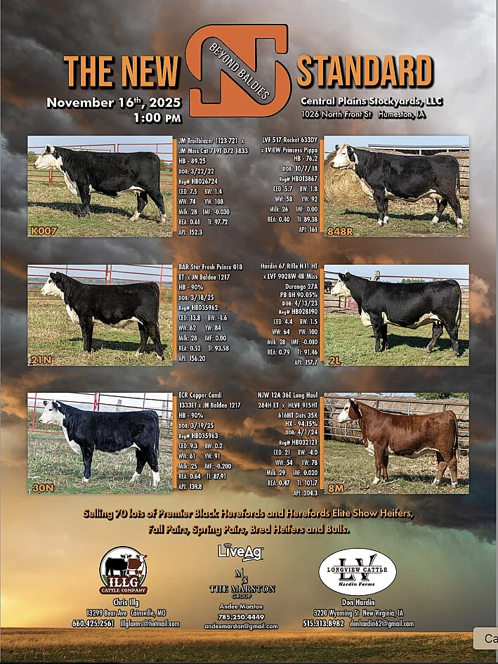 Longview Farms poster image