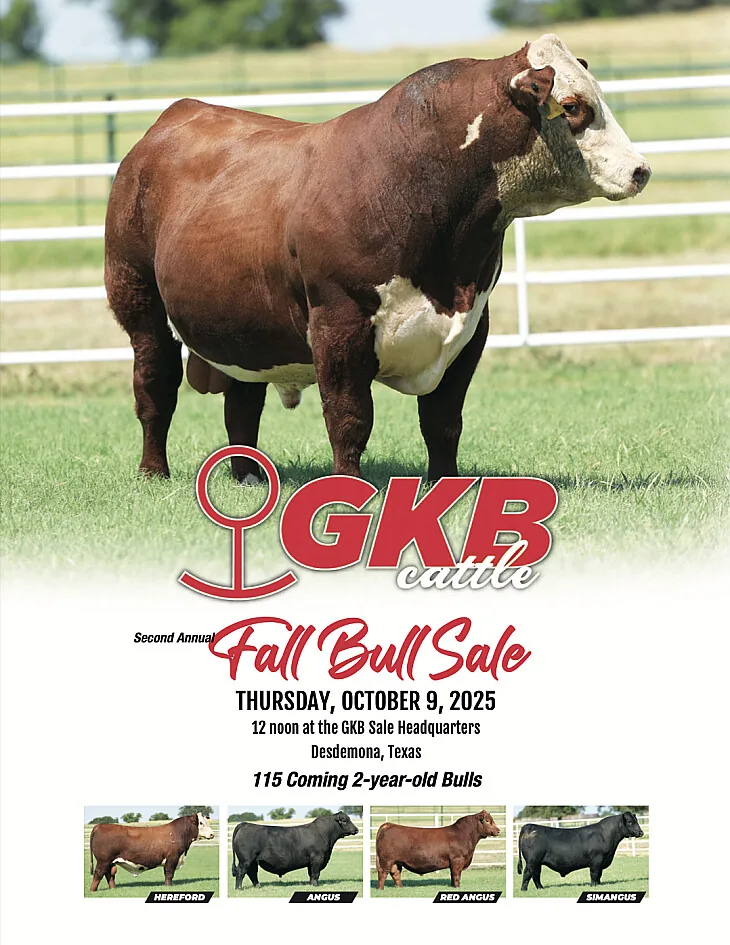 GKB poster image