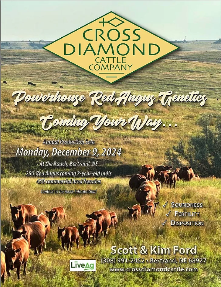 Cross Diamond poster image