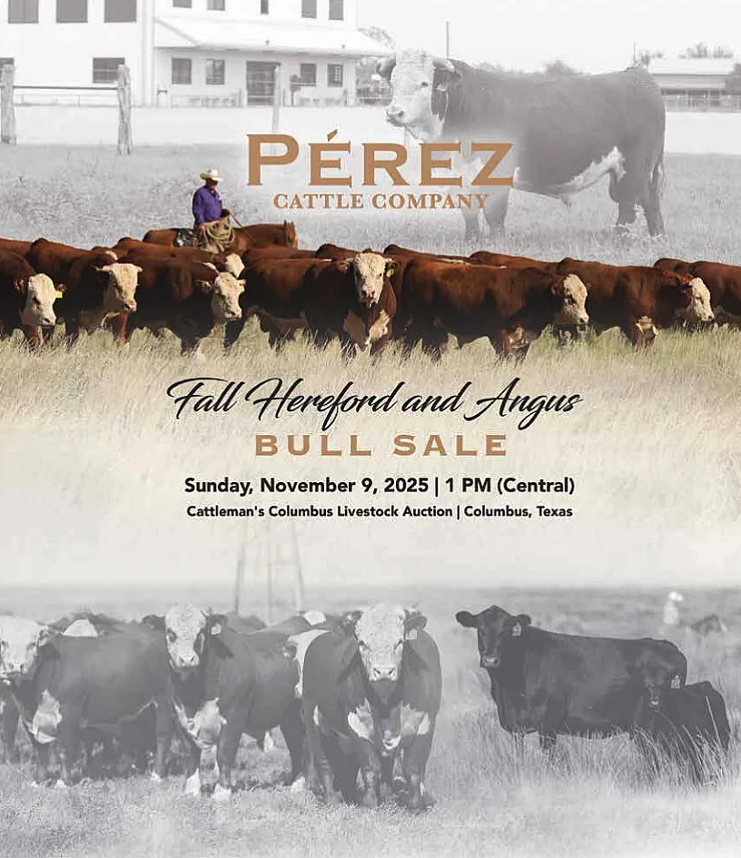 Perez Herefords poster image