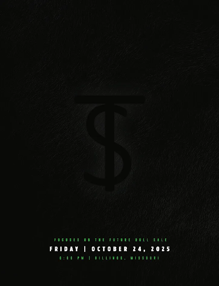 T Bar S poster image