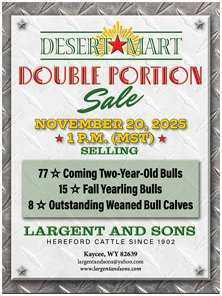 Largent and Sons poster image