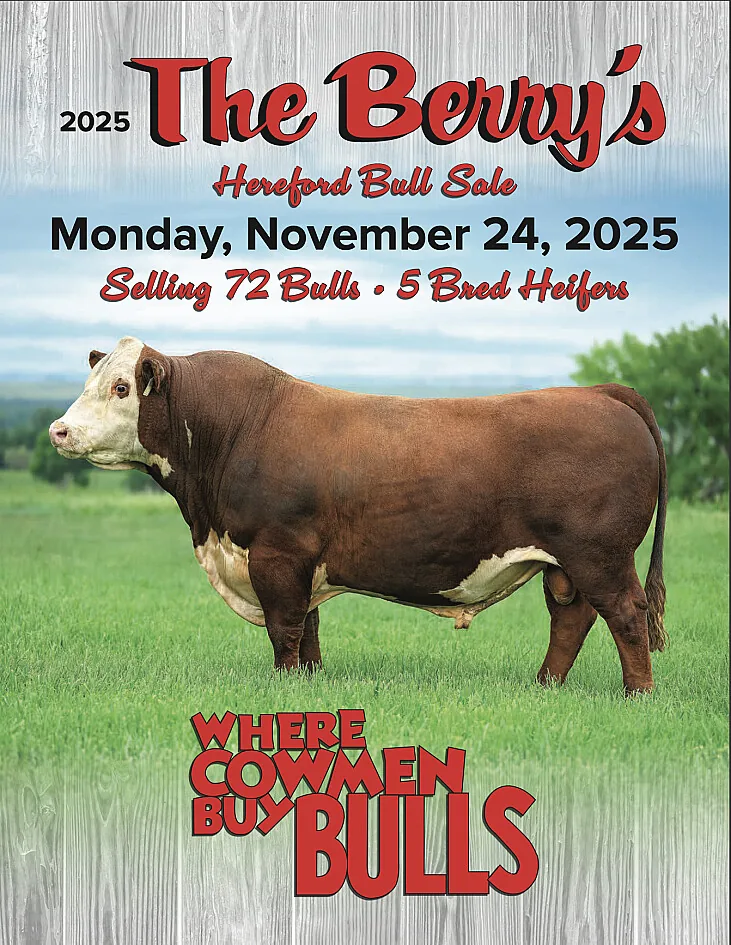 The Berry’s poster image
