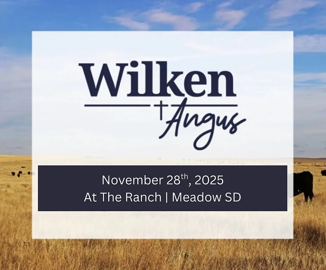 Wilken Angus poster image