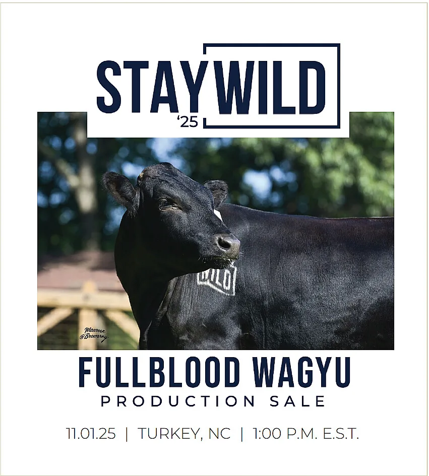 STAYWILD ’25 poster image