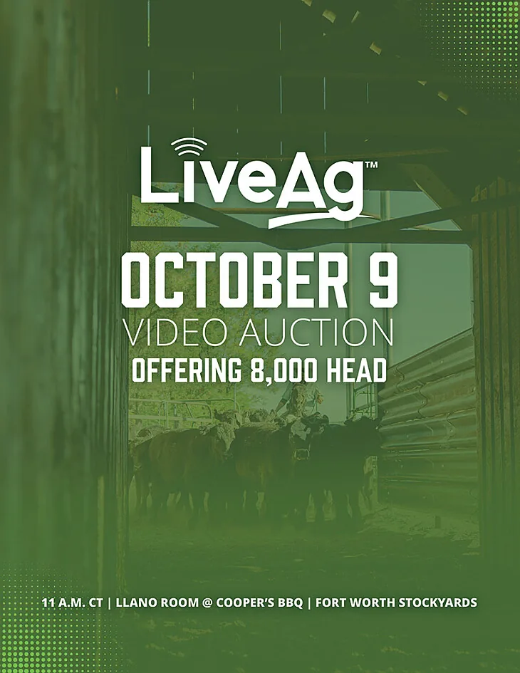 LiveAg Commercial Cattle poster image