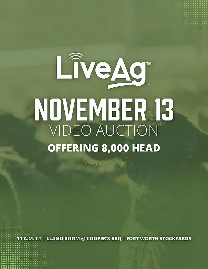 LiveAg Commercial Cattle poster image