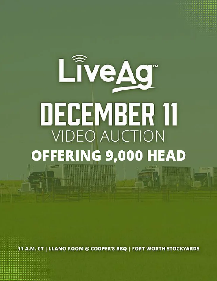 LiveAg Commercial Cattle poster image