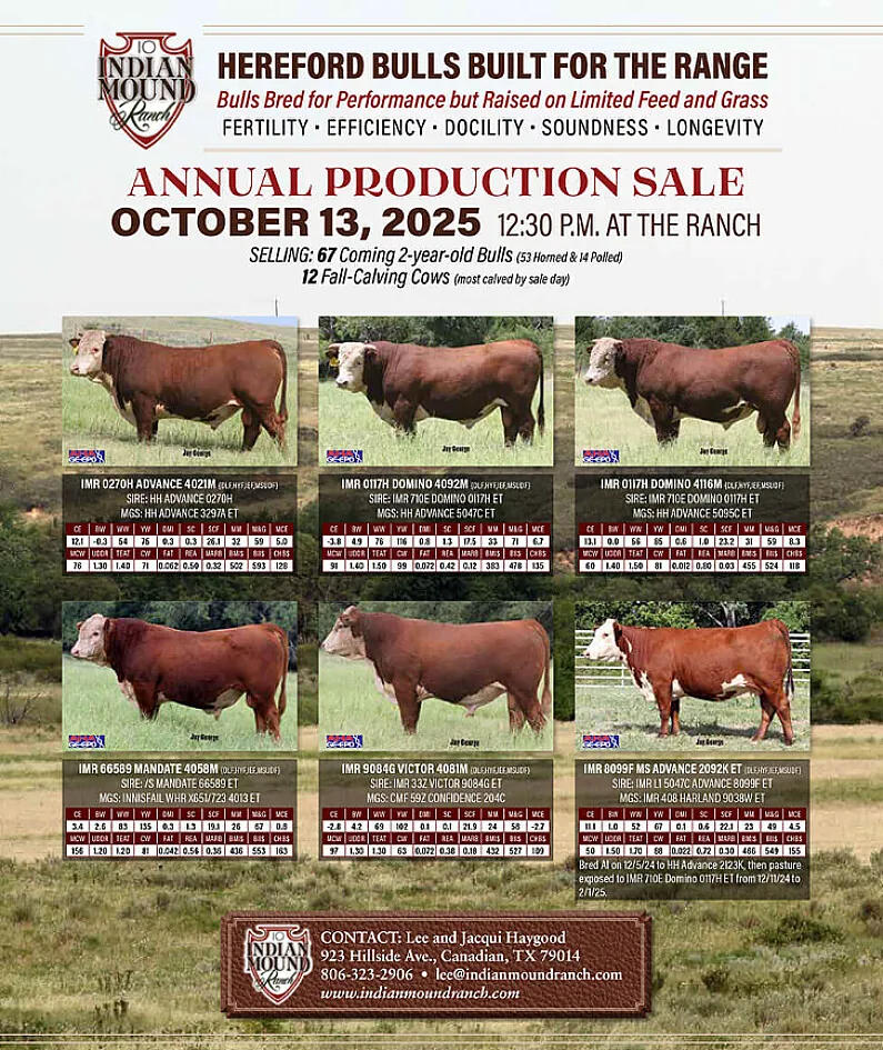Indian Mound Ranch poster image