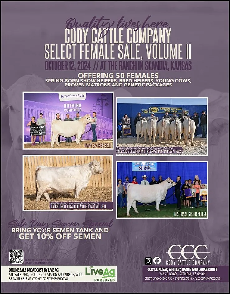Cody Cattle Company poster image