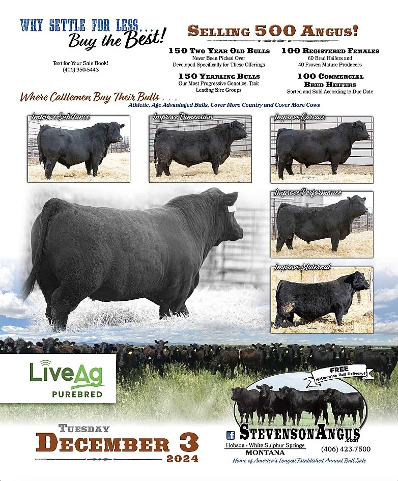 Stevenson Angus poster image
