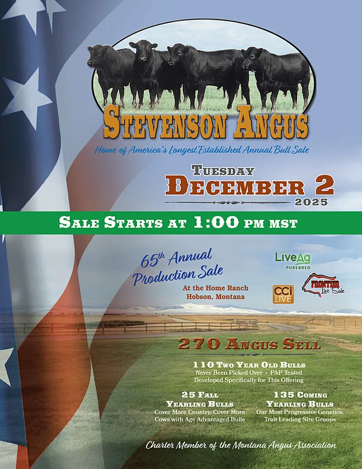 Stevenson Angus poster image