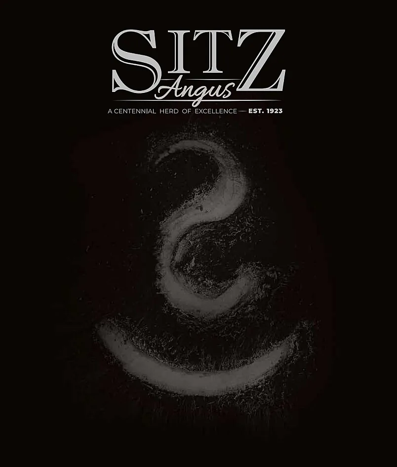 Sitz Angus poster image