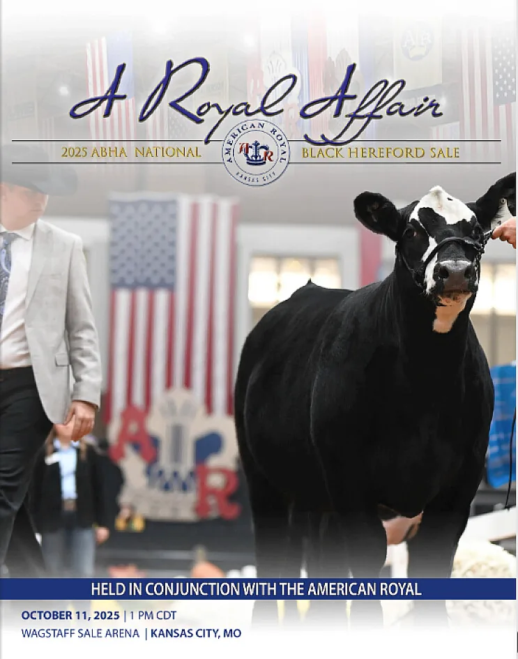 National Black Hereford poster image