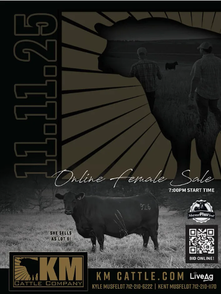 KM Cattle Co poster image