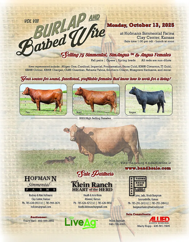 Hofmann Simmentals poster image