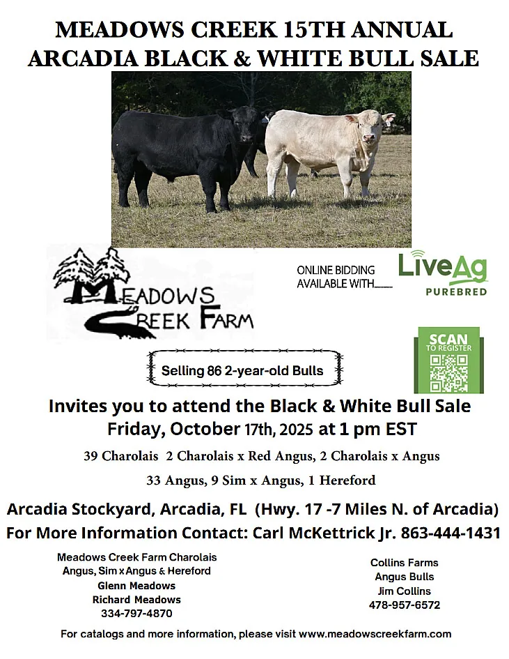 Meadows Creek Farm poster image