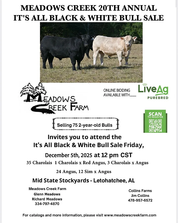Meadows Creek Farm poster image