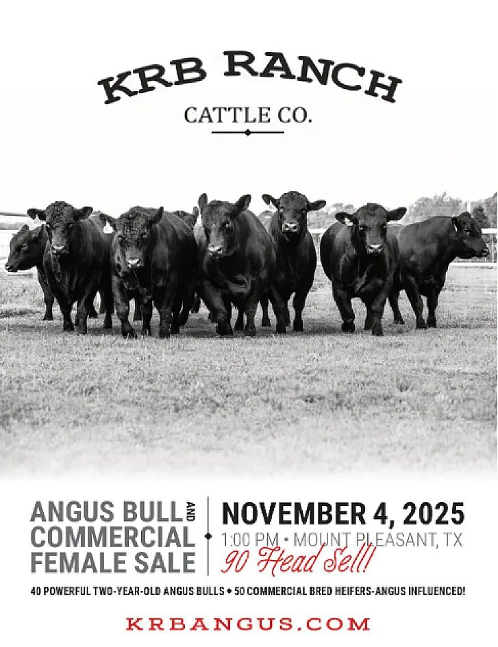 KRB Angus poster image