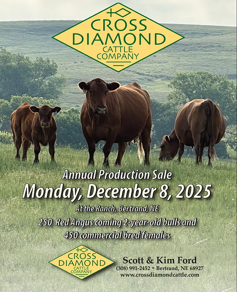 Cross Diamond Cattle Company poster image