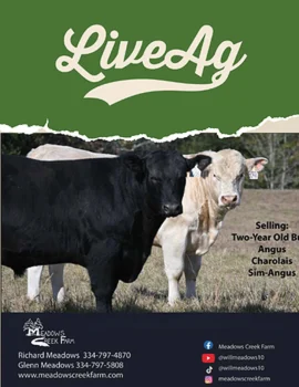 21st-Annual-Its-All-Black-White-Bull-Sale_poster