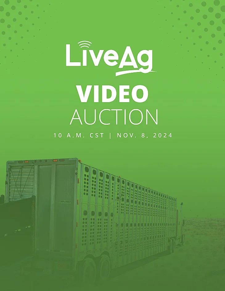 LiveAg Commercial Cattle poster image