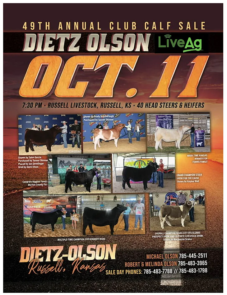 Dietz-Olson poster image