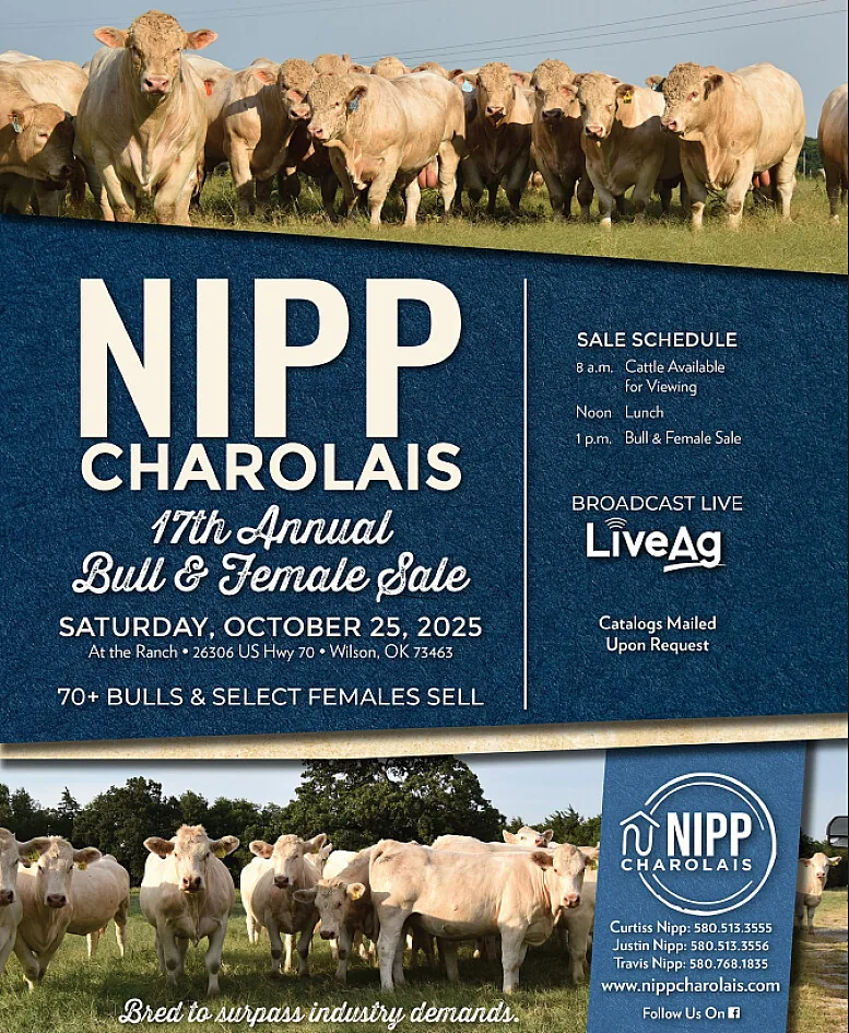Nipp Charolais poster image