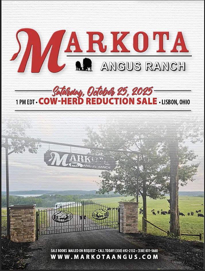 Markota Angus Ranch poster image