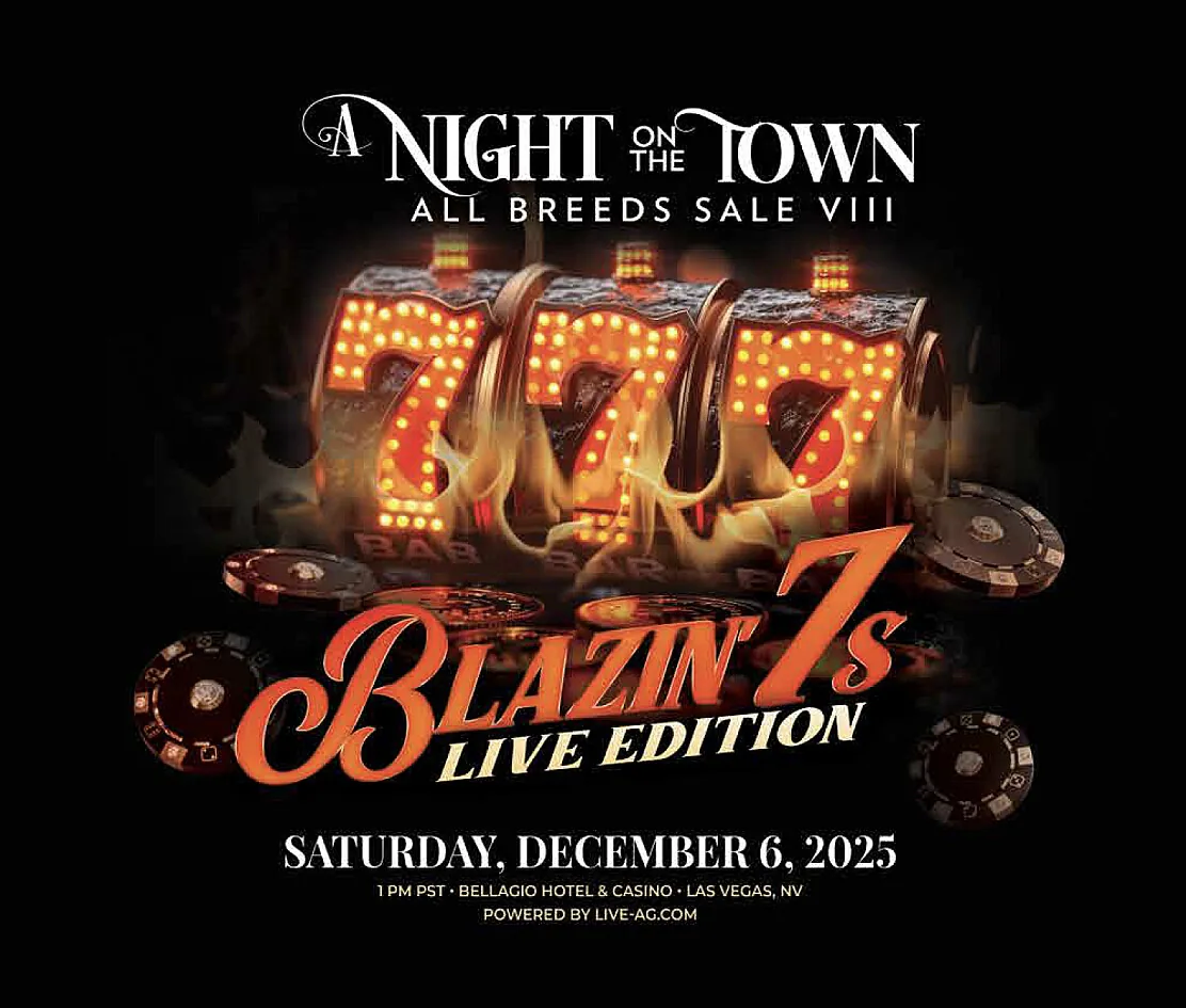 A Night on the Town poster image