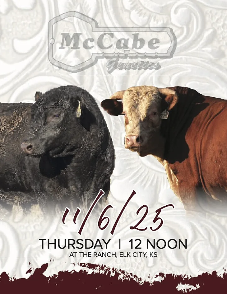 McCabe Gentics poster image
