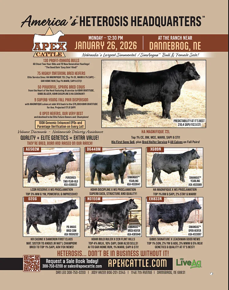 Apex Cattle HETEROSIS HEADQUARTERS poster image