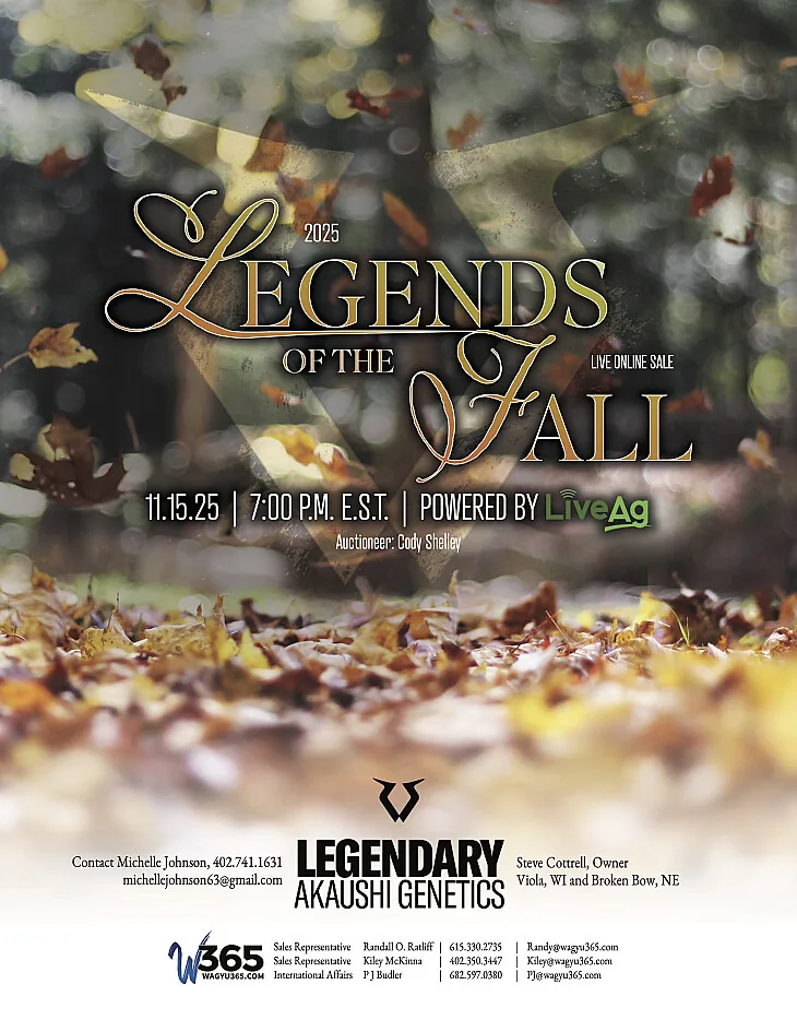 Legends of the Fall poster image