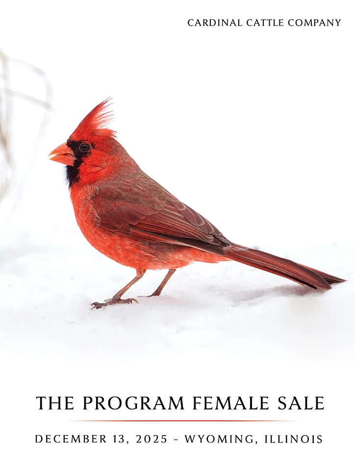 Cardinal Cattle Company poster image