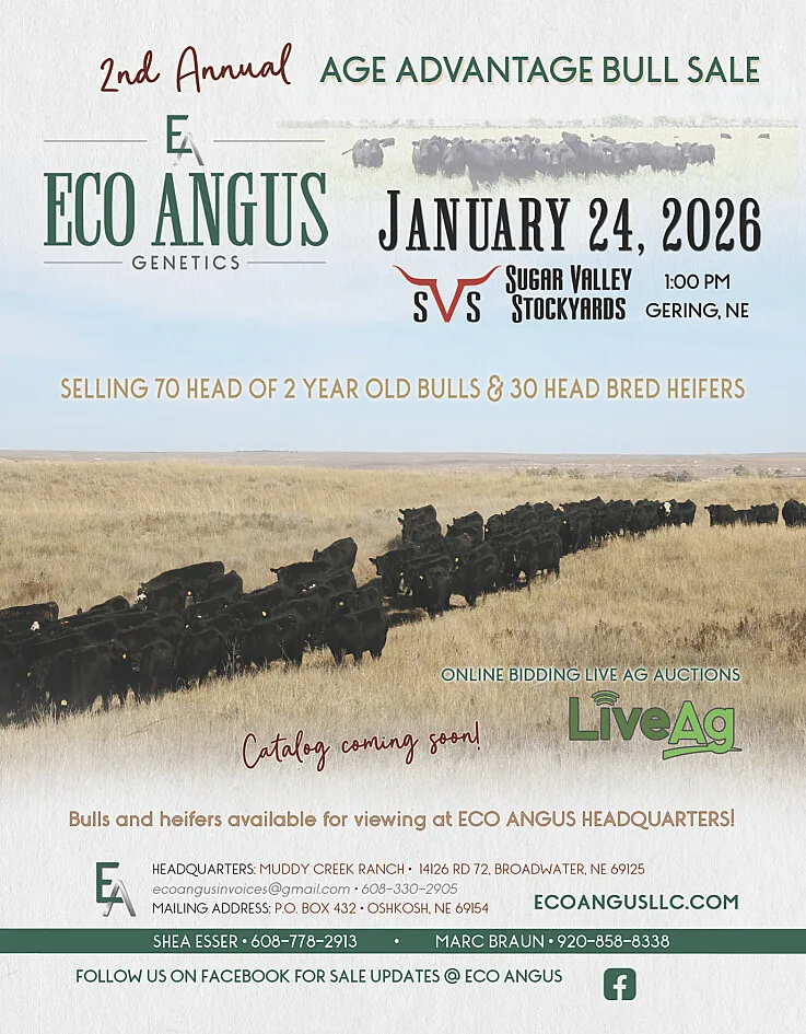 Eco Angus poster image