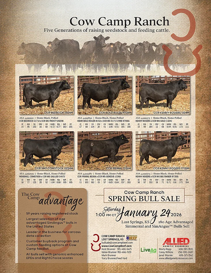 Cow Camp Ranch poster image