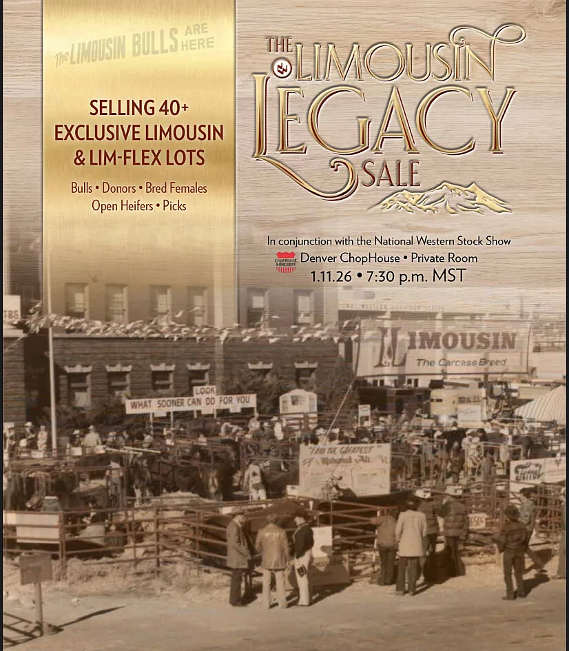 The Limousin Legacy Sale poster image