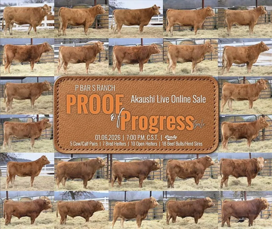 P Bar S poster image
