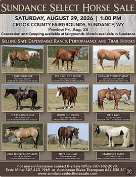 Sundance Select Horse Sale Ad Poster