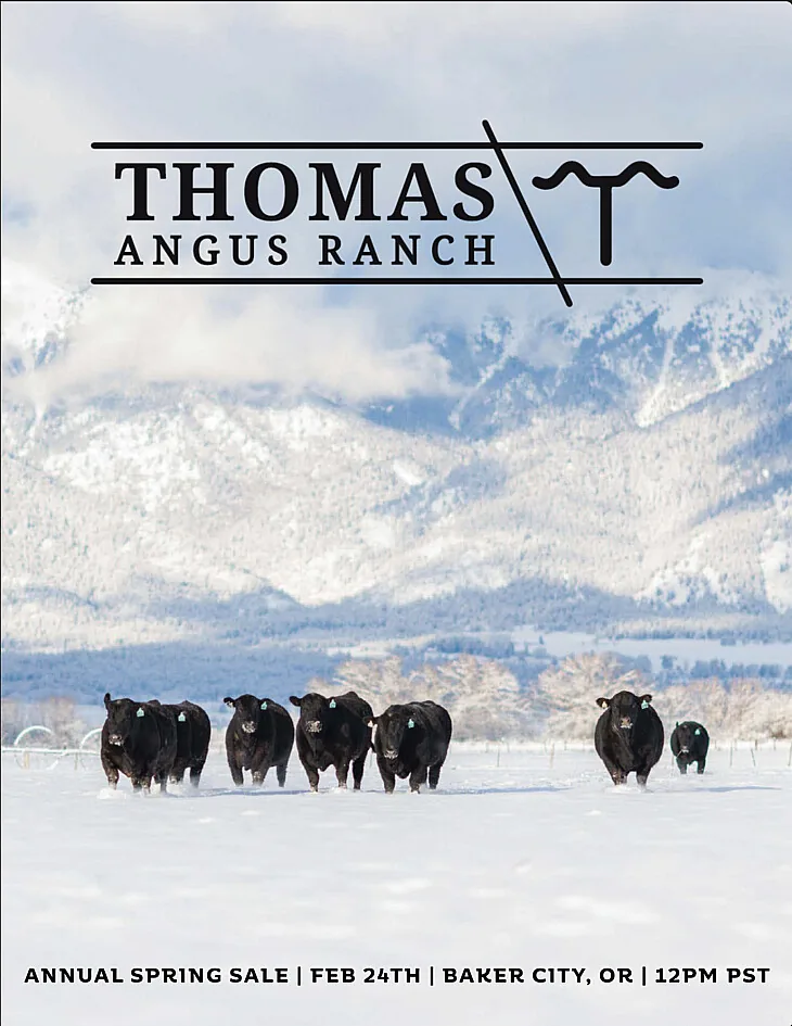 Thomas Angus Ranch poster image