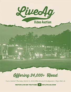 LiveAg Livestock Video Auction October 8, 2026 Cover