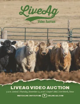 LiveAg Video Livestock Auction November 2026