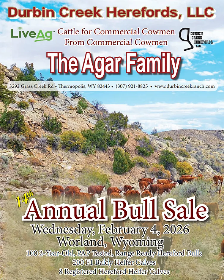 Durbin Creek Ranch poster image