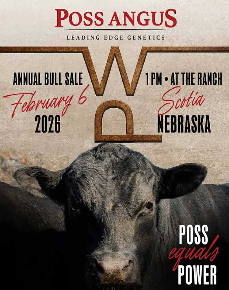 Poss Angus poster image