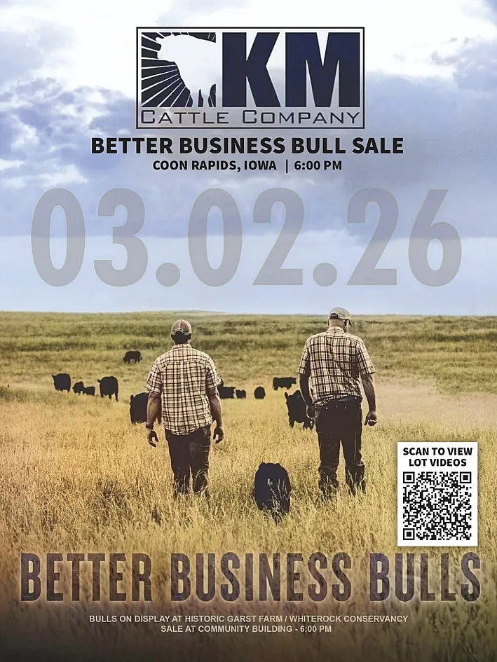 KM Cattle Company poster image