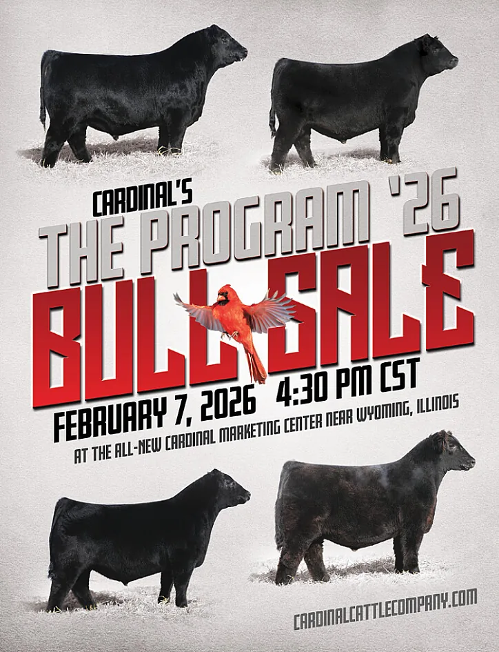 Cardinal poster image