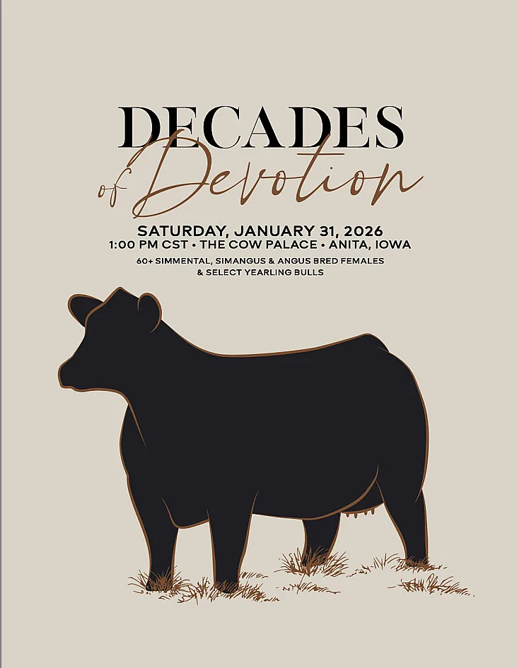 Decades of Devotion poster image