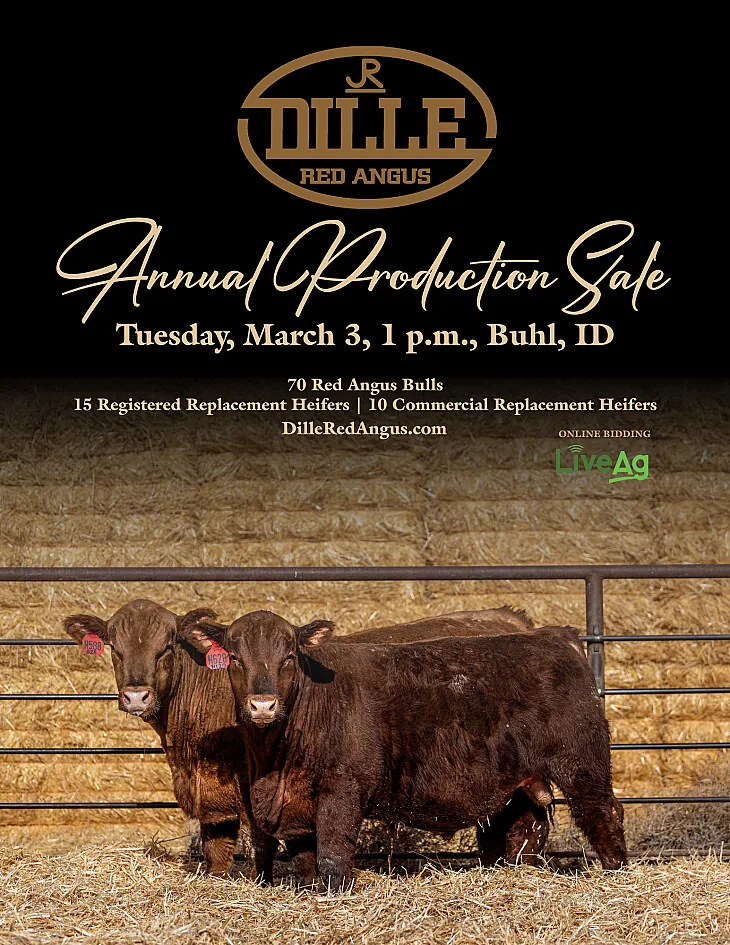 Dille Red Angus poster image
